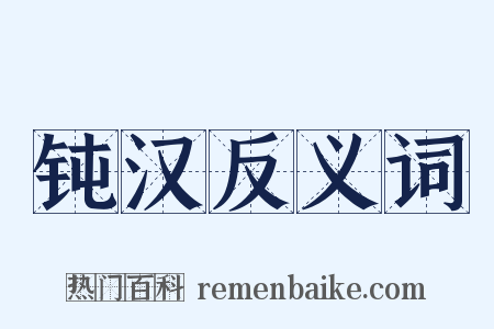 钝汉反义词是什么意思的图片
